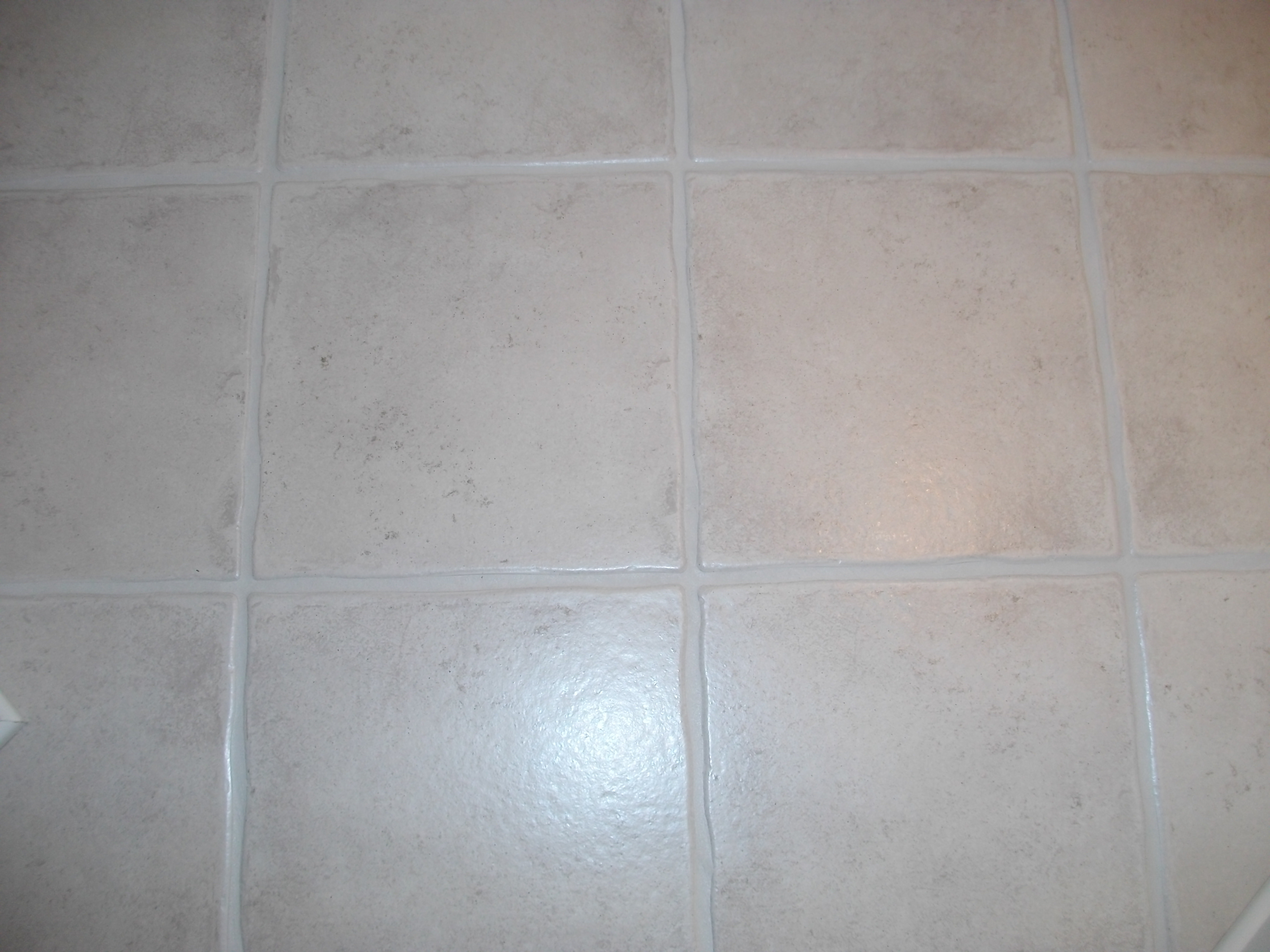 Portland OR Grout Sealing